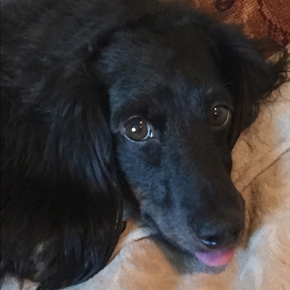 Tag me! I'm always looking! 😎 - Picture 3 of 6